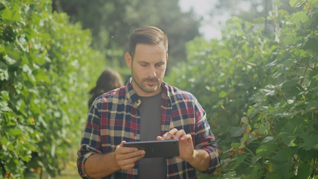 Farmer using tablet in vineyard