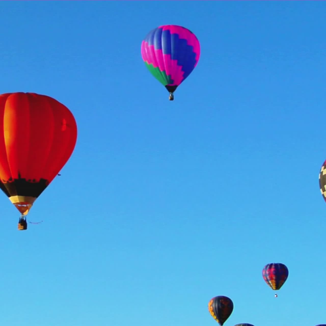 globos de colores se elevan sobre el festival de globos de albuquerque 2