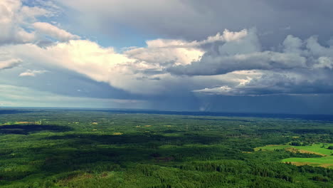 Dense-green-tree-forest,-gray-sky-storm-clouds-in-the-sky-aerial-drone-landscape