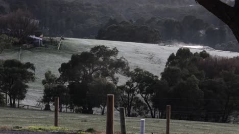 a cold winter morning on rural country paddocks in southern australia with frost all over the grass