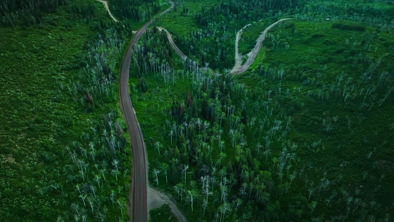 High aerial of forested summer hills with winding s curve road and dirt pulloffs in Steamboat Springs with vibrant green vegetation