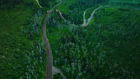 High aerial of forested summer hills with winding s curve road and dirt pulloffs in Steamboat Springs with vibrant green vegetation
