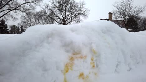 orina de perro en la caída de nieve fresca cerca de la acera