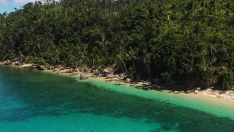 coconut trees along the coastline of island during summer in the philippines