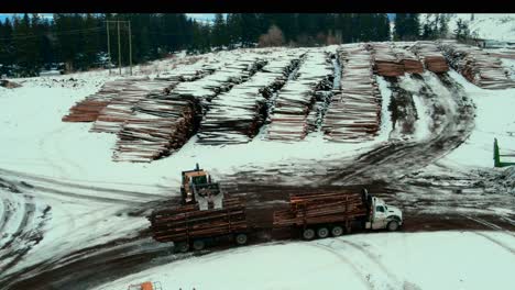 cargadora de ruedas con cucharón de garfio descargando camión de troncos y maniobrando a través de grandes montones de troncos en el aserradero canadiense en invierno