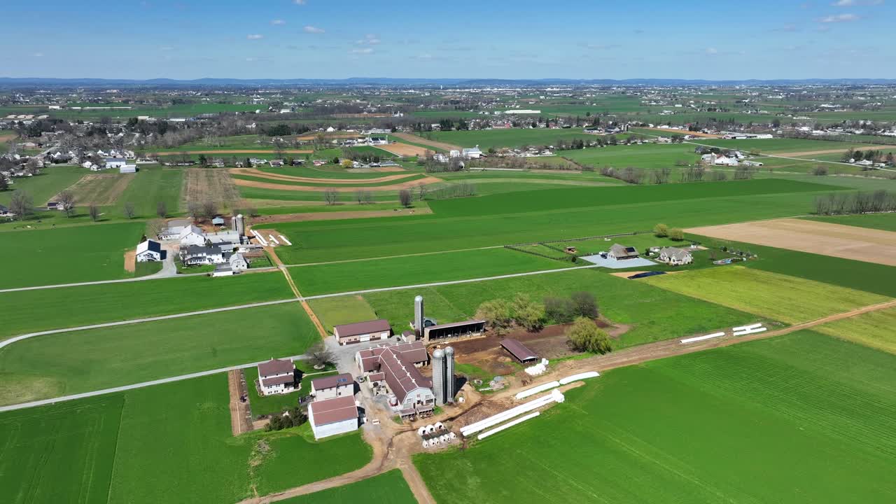 Ripresa aerea di campi agricoli verdi.