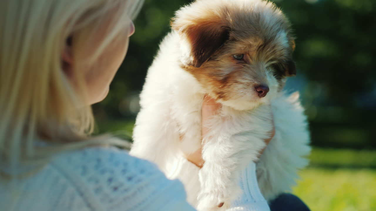 솜 털 강아지를 들고 금발 여자