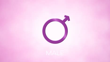 animación del símbolo de género masculino, sobre fondo rosa