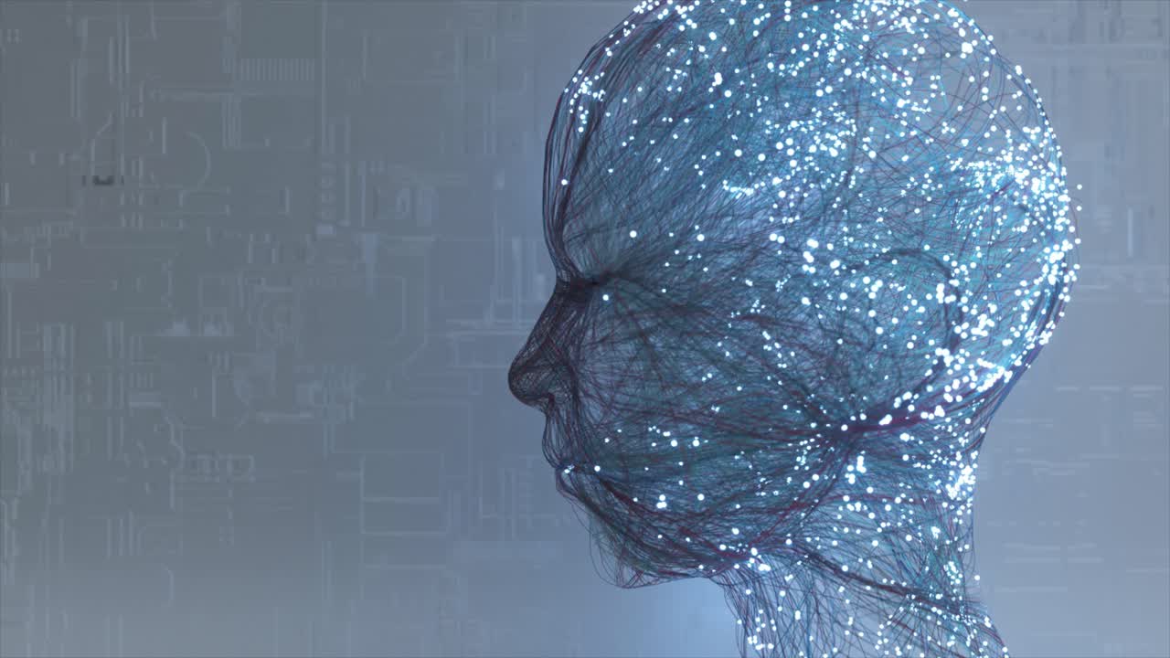 perfil humano digital