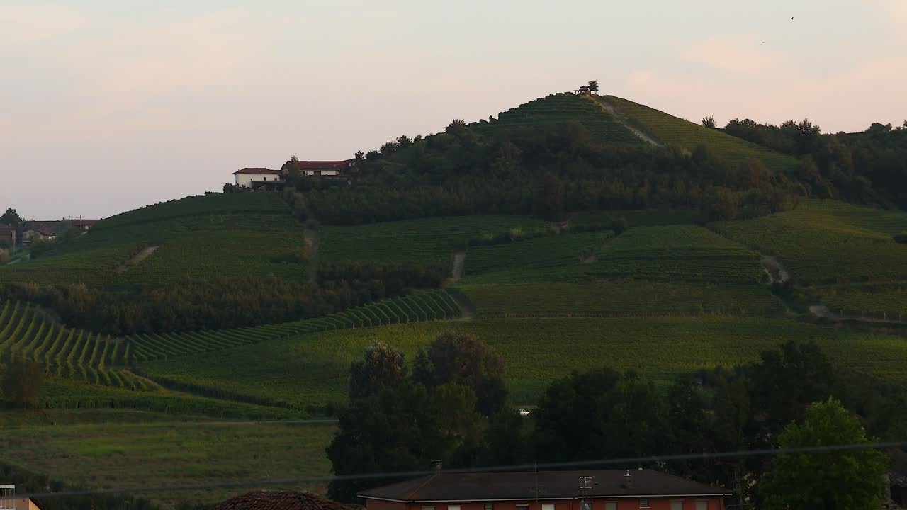 Un tramonto sereno su vigneti rigogliosi