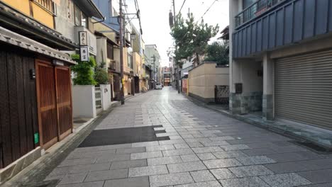 a tranquil stroll down a traditional alleyway.