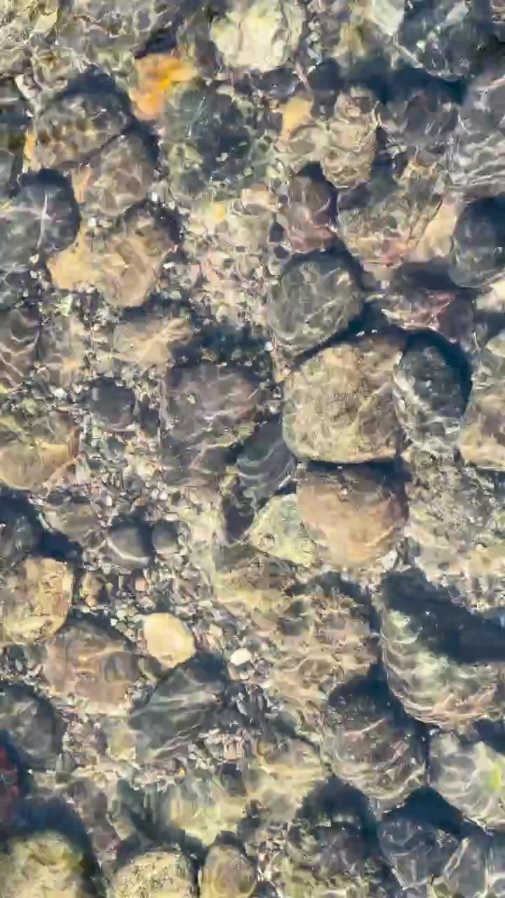 Sunlight reflects on shallow ripples flowing over smooth river stones in a Japanese garden stream