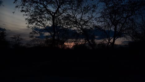 sunset in zimbabwe, africa bush timelapse