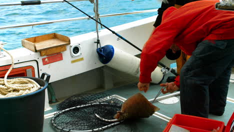pescador quitando el gancho de un pez raya