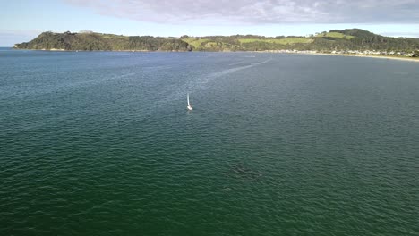 drone flight with pods of dolphins at sunset in the bay