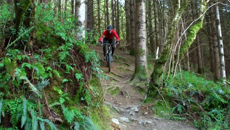 Mountain-biker-riding-bicycle-in-forest