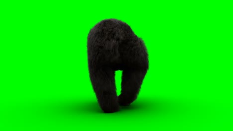 el oso caminante. una animación realista en pantalla verde.