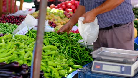 people buying vegetables at marketplace in birgi türkiye