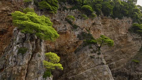 Acantilados-De-Piedra-Caliza-De-La-Isla-De-Kalamota-Cerca-De-Dubrovnik-En-El-Mar-Adriático,-Croacia