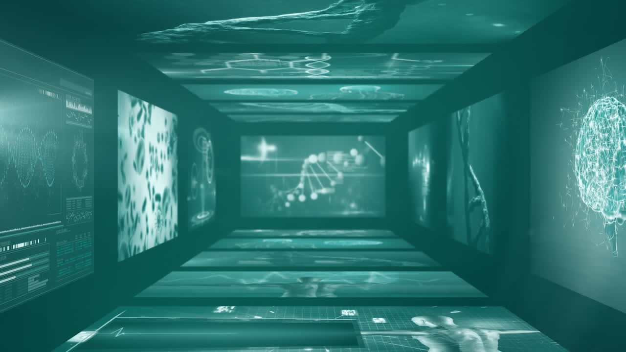 의료 데이터 처리의 디지털로 생성된 비디오