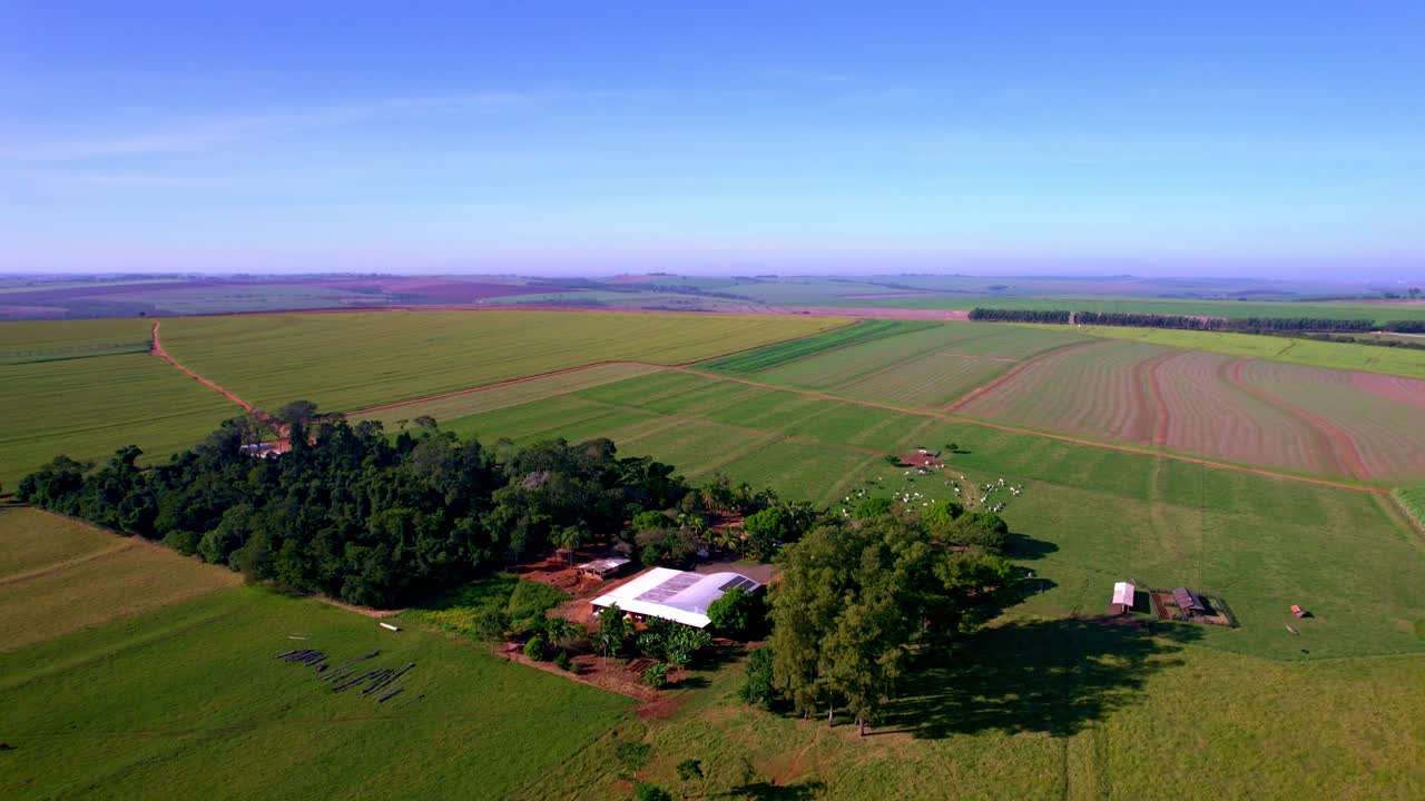 Brazil&rsquo;s low-carbon agriculture strategy. Greenhouse gases reduction