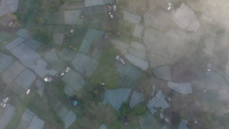 Campo-De-Arroz-Cubierto-De-Niebla-Durante-La-Hora-Dorada-En-Bali,-Caldera-De-Monte-Batur,-Antena