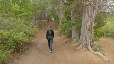 female hiker walking on a gravel road in the middle of dry forest in spain