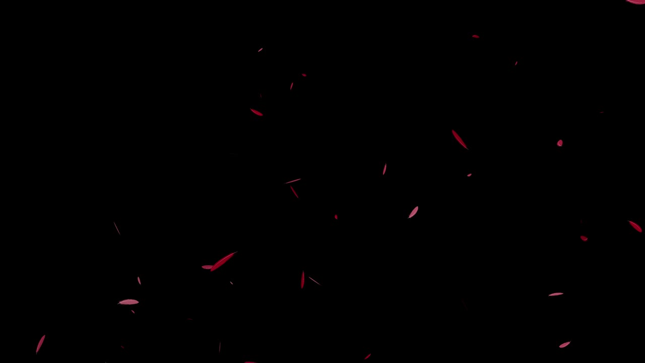 빨간 털 날아다니는 입자 모션 그래픽