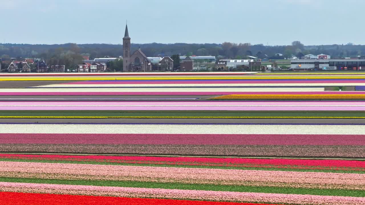 네덜란드의 다채로운 립