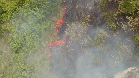 fuego extendiéndose a través de la vegetación en un día de viento