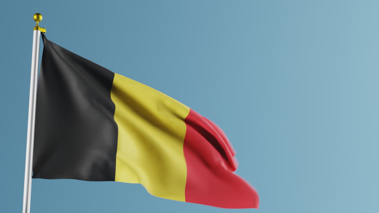 размахивая флагом бельгии