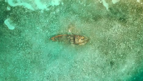 flying-over-a-sunken-ship-rocks-with-people-snorkelling-around-it