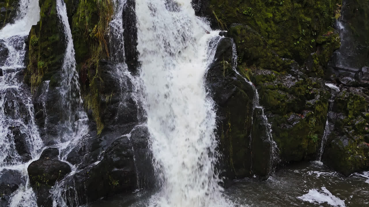 video de 4k de una pequeña cascada en el bosque con rocas cubiertas de musgo