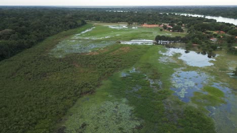 pantanal porto jofre brazil wetland aerial view