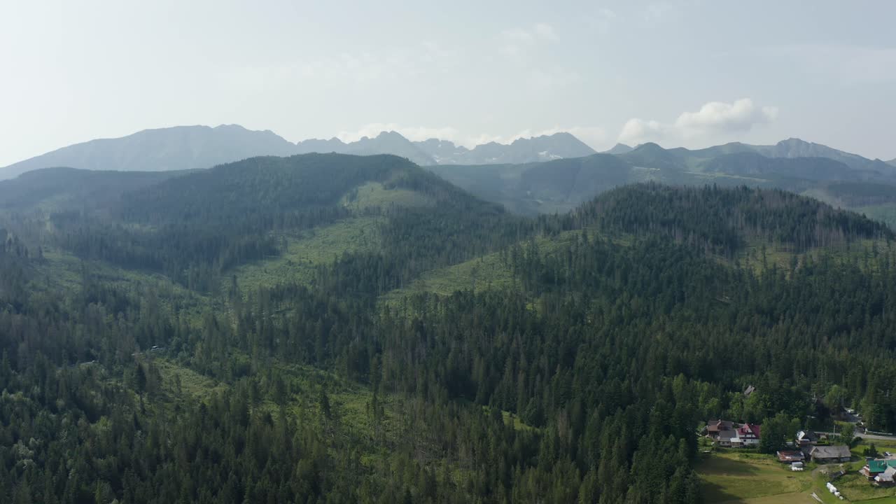 drone aéreo bosque disparado cerca de cyrhla podhale
