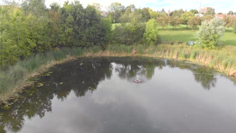 aerial footage flying around a tree on an island in a pond and then looking down onto a fountain in the pond