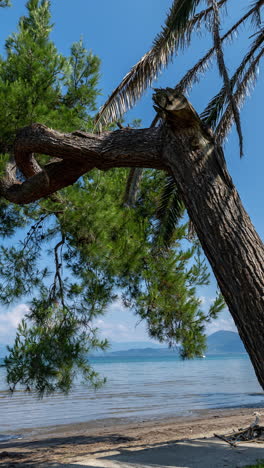 Strandszene-Auf-Der-Insel-Paros,-Griechenland-In-Vertikaler