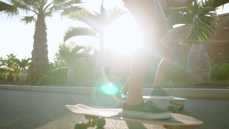 two young hispanic women ride skateboards on an island near palm trees along asphalt paths of the park in slow motion, basking in the rays of the sunset. happiness and a healthy lifestyle