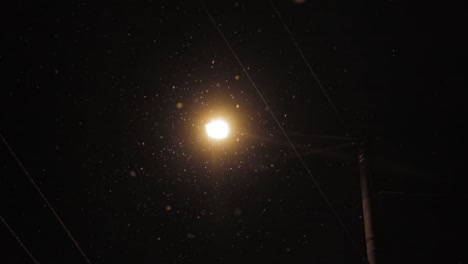 luz de calle solitaria en la noche con copos de nieve cayendo en la oscuridad.