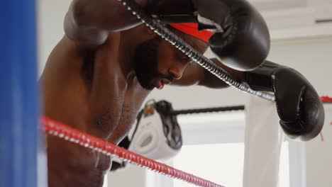 male boxer relaxing in boxing ring 4k