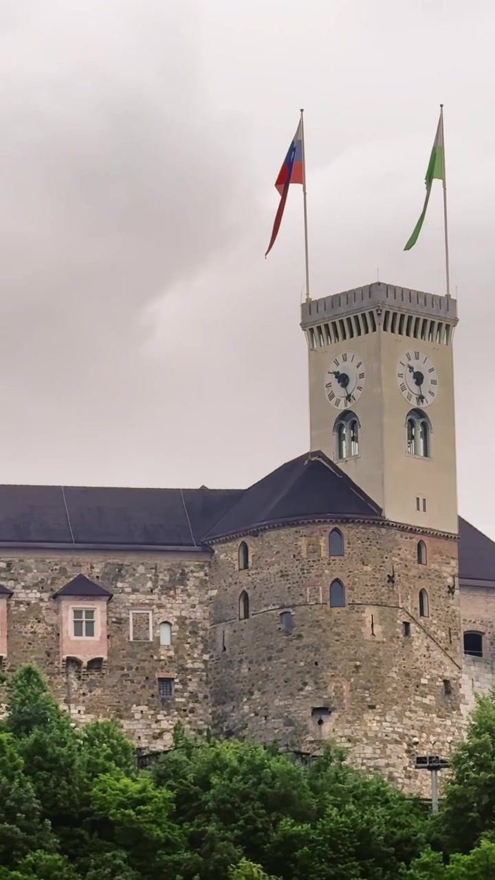 Veduta verticale del Castello di Lubiana che si erge sopra le cime degli alberi verdi, con le sue storiche mura in pietra, la torre dell'orologio e la bandiera slovena sotto un cielo coperto