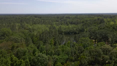 Flying-over-a-forest-and-there-some-stratus-clouds-in-the-sky