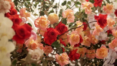 Flower-arrangement-with-red,-white-and-peach-roses,-panning-shot