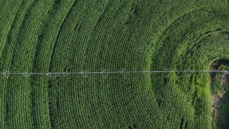 Circular-Beauty-from-Above:-Center-Pivot-Irrigation-Farming-in-British-Columbia,-Canada