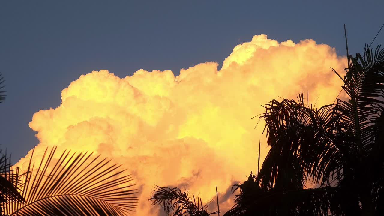 silhuetas de palmeiras contra um dramático céu dourado e laranja ao pôr do sol