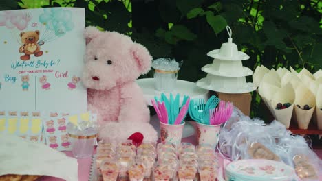 casting votes box of boy or girl gender reveal party outside