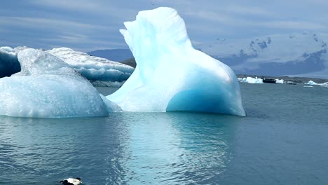 a small duck passes in front of a huge iceberg