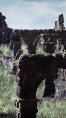 overgrown ruins with stone arches