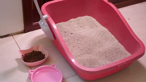 hygienic cat toilet equipment, feeding bowl, animal house essentials