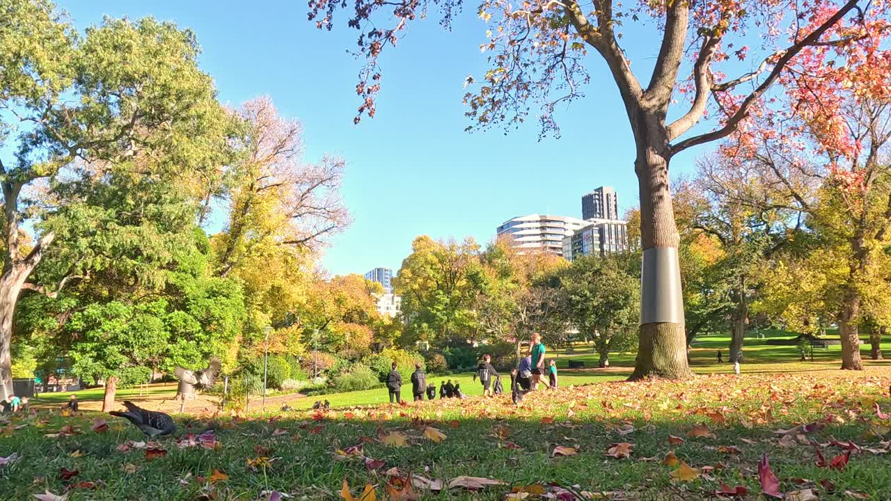 공원 에서 이 잘 내리는 날 을 즐기는 사람 들